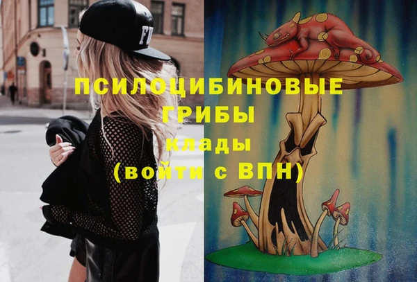 амф Алексеевка