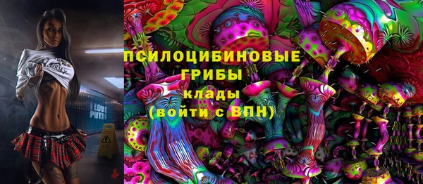 амфетамин Алексин