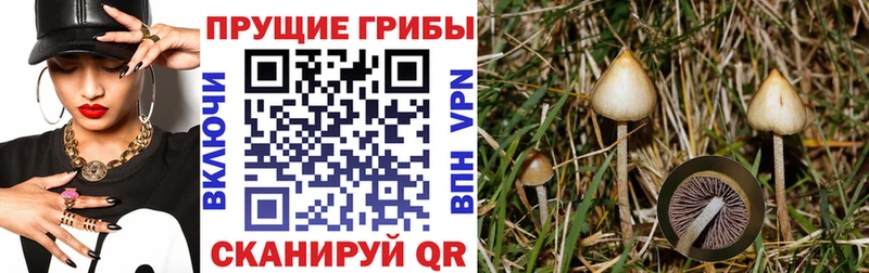 Псилоцибиновые грибы Magic Shrooms  купить   Нижнеудинск 