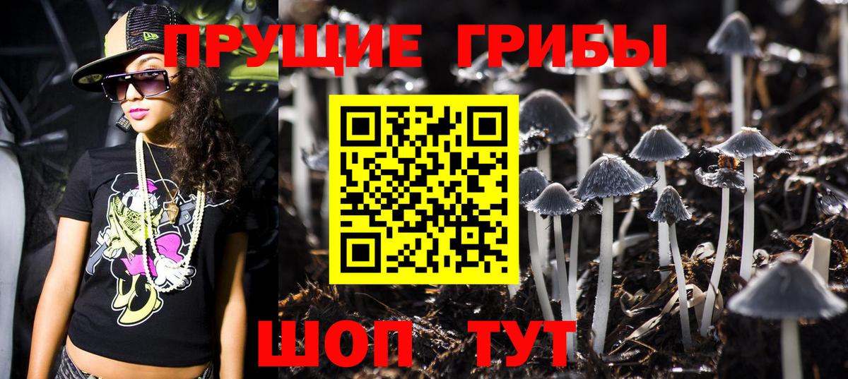 Галлюциногенные грибы MAGIC MUSHROOMS  Вход с VPN  Нижнеудинск  Галлюциногенные грибы GOLDEN TEACHER 